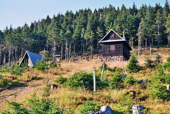 Králický Sněžník, 29.8.2005
Sněžná chatou. Klimaxová smrčina za chatou je biotopem kovaříků Ampedus auripes a Denticollis interpositus.



Klíčová slova: Králický Sněžník Sněžná chata Ampedus auripes aethiops Denticollis interpositus