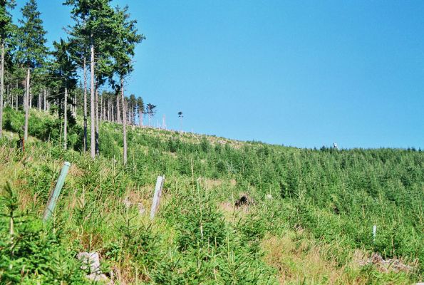 Králický Sněžník, 29.8.2005
Holoseč na západním svahu pod Sněžnou chatou. Biotop kovaříka Danosoma fasciata.



Klíčová slova: Králický Sněžník Sněžná chata Danosoma fasciata