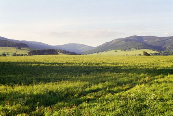 Králický Sněžník, 30.5.2002
Pohled na Králický Sněžník od Červeného Potoka.
Klíčová slova: Králický Sněžník Červeného Potoka