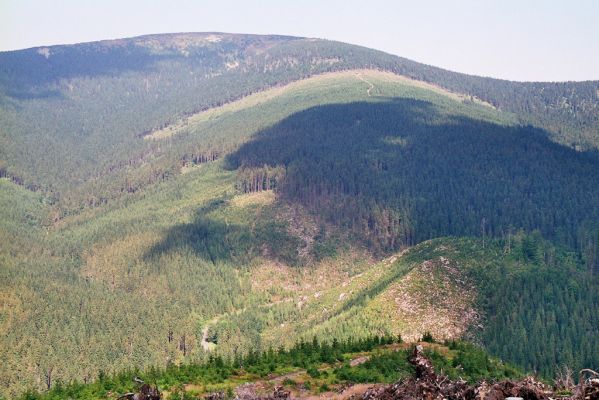 Králický Sněžník, 30.8.2005
Pohled na Koňský hřbet a Králický Sněžník z Uhliska.
Klíčová slova: Králický Sněžník Uhlisko Danosoma fasciata