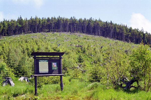 Králický Sněžník, 3.6.2002
Informační tabule u Slaměnky.
Klíčová slova: Králický Sněžník Slaměnka