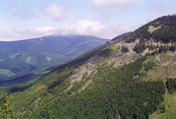 Králický Sněžník, 3.6.2002
Králický Sněžník od Slamníka.
Klíčová slova: Králický Sněžník vrch Slamník