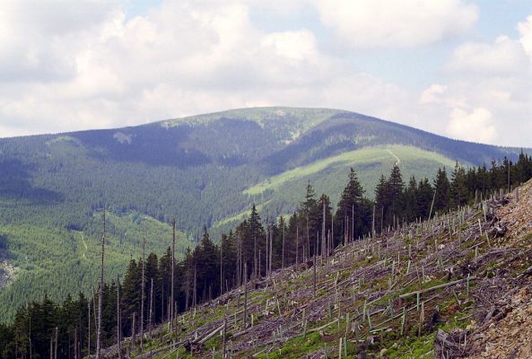 Králický Sněžník, 3.6.2002
Králický Sněžník od Podbělky.
Klíčová slova: Králický Sněžník Podbělka