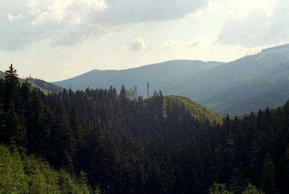 Králický Sněžník, 3.6.2002
Koňský hřbet z údolí pod Stříbrnickou.
Klíčová slova: Králický Sněžník Koňský hřbet Danosoma fasciata