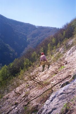 Kraľovany, 30.4.2001
Bývalý lom na východních svazích Kraľovianskeho meandru. Biotop kovaříků Ctenicera virens a Anostirus gracilicollis.


Schlüsselwörter: Kraľovany Kraľoviansky meander Ctenicera virens Anostirus gracilicollis Josef Mertlik
