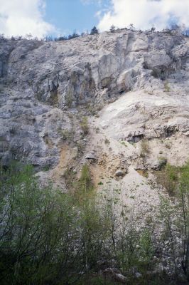 Kraľovany, 30.4.2001
Bývalý lom na východních svazích Kraľovianskeho meandru. Biotop kovaříků Ctenicera virens a Anostirus gracilicollis.
Mots-clés: Kraľovany Kraľoviansky meander Ctenicera virens Anostirus gracilicollis