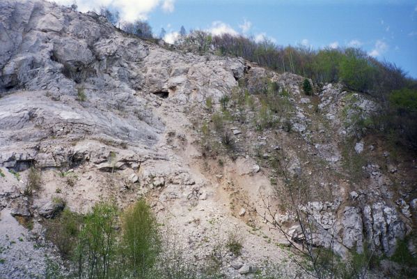 Kraľovany, 30.4.2001
Bývalý lom na východních svazích Kraľovianskeho meandru. Biotop kovaříků Ctenicera virens a Anostirus gracilicollis.


Mots-clés: Kraľovany Kraľoviansky meander Ctenicera virens Anostirus gracilicollis