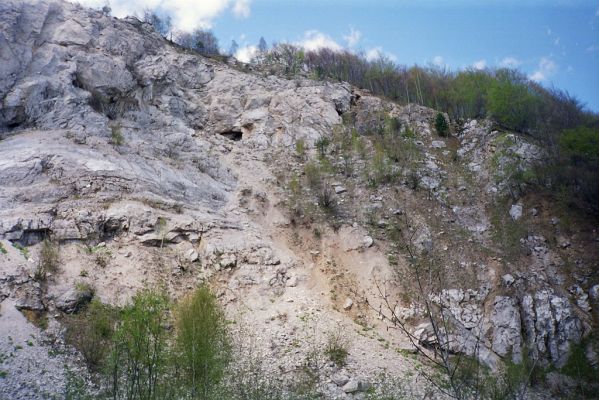 Kraľovany, 30.4.2001
Bývalý lom na východních svazích Kraľovianskeho meandru. Biotop kovaříků Ctenicera virens a Anostirus gracilicollis.


Klíčová slova: Kraľovany Kraľoviansky meander Ctenicera virens Anostirus gracilicollis