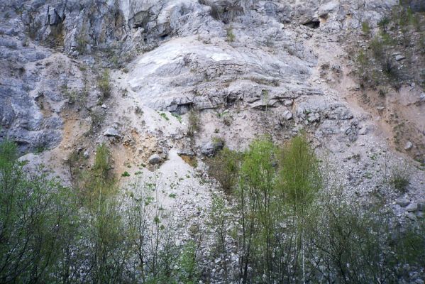 Kraľovany, 30.4.2001
Bývalý lom na východních svazích Kraľovianskeho meandru. Biotop kovaříků Ctenicera virens a Anostirus gracilicollis.



Schlüsselwörter: Kraľovany Kraľoviansky meander Ctenicera virens Anostirus gracilicollis