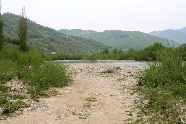 Teresva, 30.4.2009
Písčité a štěrkové náplavy na břehu Teresvy u obce Krasna. Biotop kovaříků Zorochros dermestoides a Z. meridionalis. 
Mots-clés: Krasna Teresva Zorochros dermestoides meridionalis