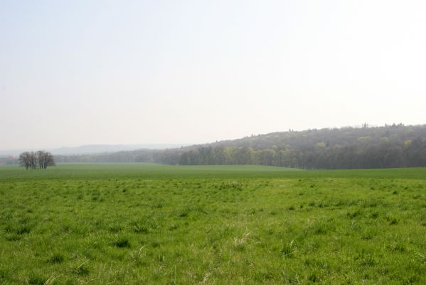 Krásný Dvůr, 9.4.2017
Pohled na zámecký park od obce Brody.
Klíčová slova: Brody Krásný Dvůr zámecký park