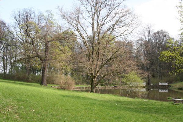 Krásný Dvůr, 9.4.2017
Zámecký park, údolí Lesky u Velkého rybníka.
Keywords: Krásný Dvůr zámecký park