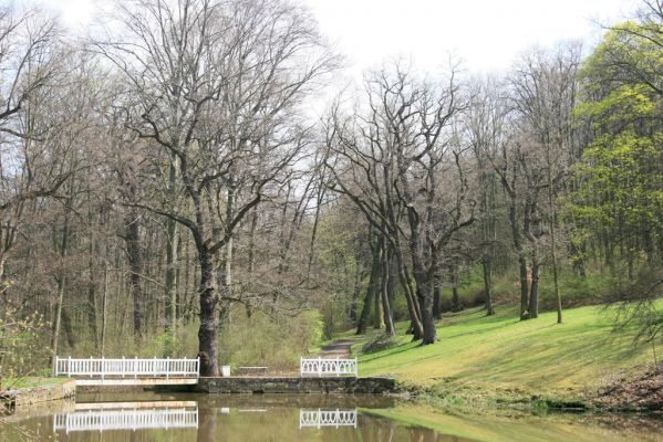 Krásný Dvůr, 9.4.2017
Zámecký park, údolí Lesky u Velkého rybníka.
Klíčová slova: Krásný Dvůr zámecký park