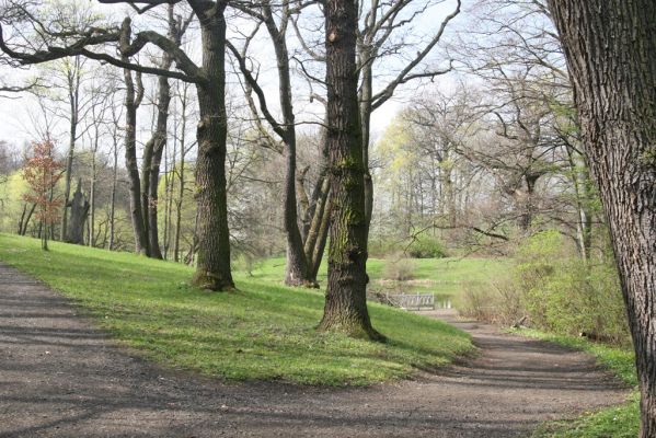 Krásný Dvůr, 9.4.2017
Zámecký park, údolí Lesky u Velkého rybníka.
Mots-clés: Krásný Dvůr zámecký park