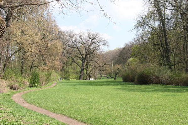 Krásný Dvůr, 9.4.2017
Zámecký park, údolí Lesky u Pánova templu.
Keywords: Krásný Dvůr zámecký park