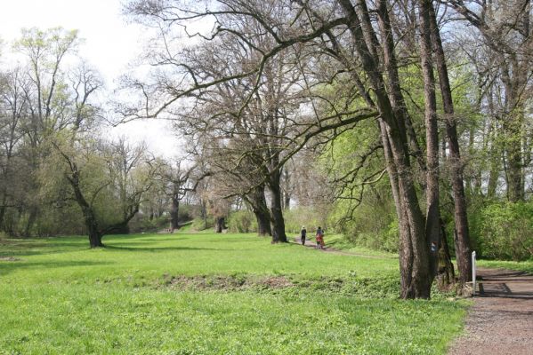 Krásný Dvůr, 9.4.2017
Zámecký park, údolí Lesky u zámku.
Klíčová slova: Krásný Dvůr zámecký park