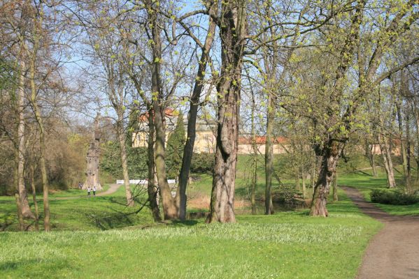 Krásný Dvůr, 9.4.2017
Zámecký park, údolí Lesky u zámku.
Klíčová slova: Krásný Dvůr zámecký park