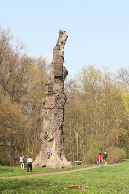 Krásný Dvůr, 9.4.2017
Zámecký park, Goethův dub v údolí Lesky u zámku.
Mots-clés: Krásný Dvůr zámecký park