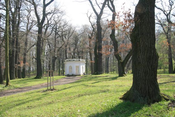 Krásný Dvůr, 9.4.2017
Zámecký park u Goethova pavilonu.
Klíčová slova: Krásný Dvůr zámecký park