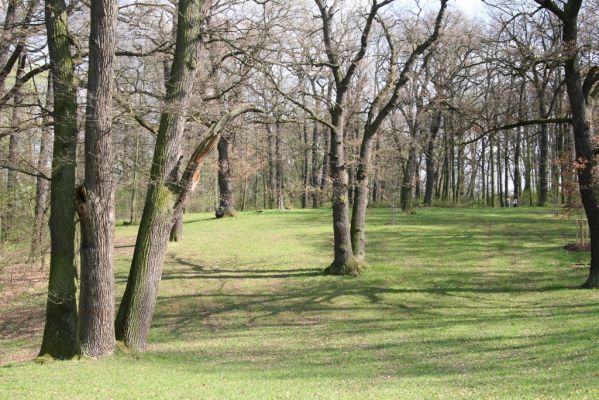 Krásný Dvůr, 9.4.2017
Zámecký park u Goethova pavilonu.
Schlüsselwörter: Krásný Dvůr zámecký park