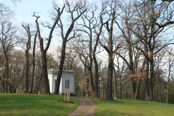 Krásný Dvůr, 9.4.2017
Zámecký park u Goethova pavilonu.
Klíčová slova: Krásný Dvůr zámecký park