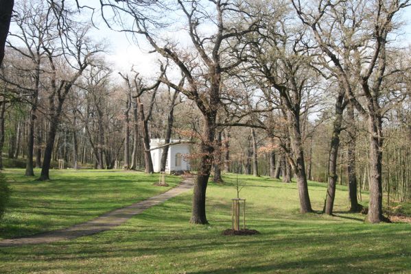 Krásný Dvůr, 9.4.2017
Zámecký park u Goethova pavilonu.
Schlüsselwörter: Krásný Dvůr zámecký park