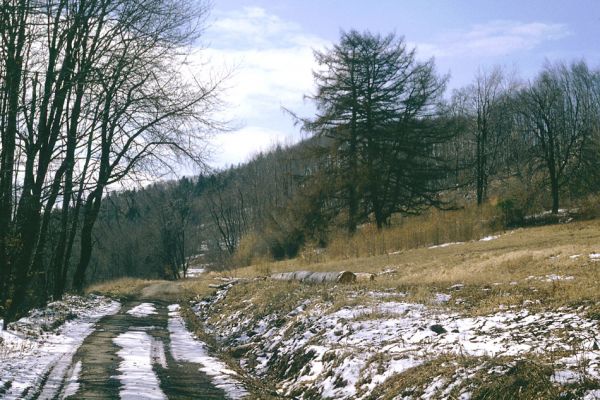 Slanské vrchy, Krčmárka, 9.4.1997
Cesta od Dargovského priesmyku k rezervaci Krčmárka.
Schlüsselwörter: Slanské vrchy Bogota Krčmárka