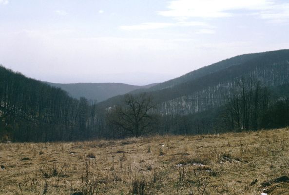 Slanské vrchy, Krčmárka, 9.4.1997
Polana na východním svahu vrchu Bogota. Od obzoru k obzoru se rozkládá buková plantáž.
Schlüsselwörter: Slanské vrchy Bogota Krčmárka