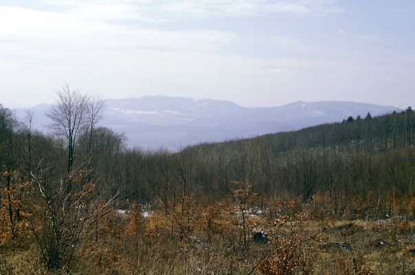 Slanské vrchy, Krčmárka, 9.4.1997
Pohled od vrchu Bogota na Veľký Milič.
Schlüsselwörter: Slanské vrchy Bogota Krčmárka Veľký Milič