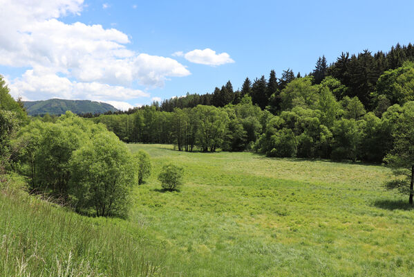 Bernartice, Křenov, 2.6.2022
Louky u Ličné.
Klíčová slova: Bernartice Křenov řeka Ličná