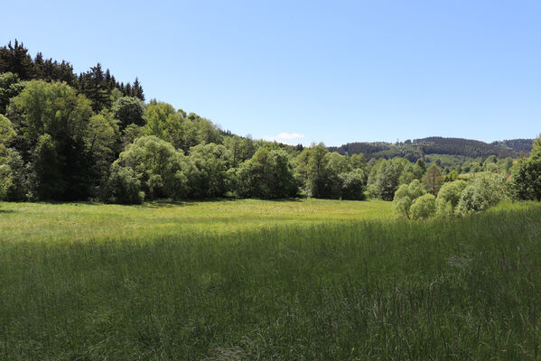 Bernartice, Křenov, 2.6.2022
Louky u Ličné. Pohled na Stachelberg.
Schlüsselwörter: Bernartice Křenov řeka Ličná Stachelberg