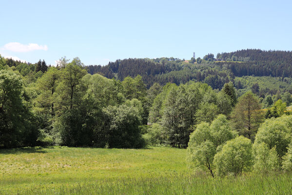 Bernartice, Křenov, 2.6.2022
Louky u Ličné. Pohled na Stachelberg.
Klíčová slova: Bernartice Křenov řeka Ličná Stachelberg