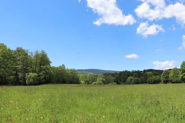 Bernartice, Křenov, 2.6.2022
Louky u Ličné. Pohled na Rýchory.
Keywords: Bernartice Křenov řeka Ličná Rýchory