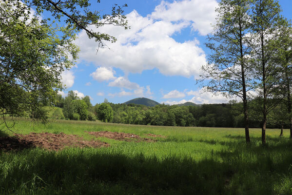 Bernartice, Křenov, 2.6.2022
Meandry Ličné. Pohled na Královecký Špičák.
Klíčová slova: Bernartice Křenov řeka Ličná Královecký Špičák