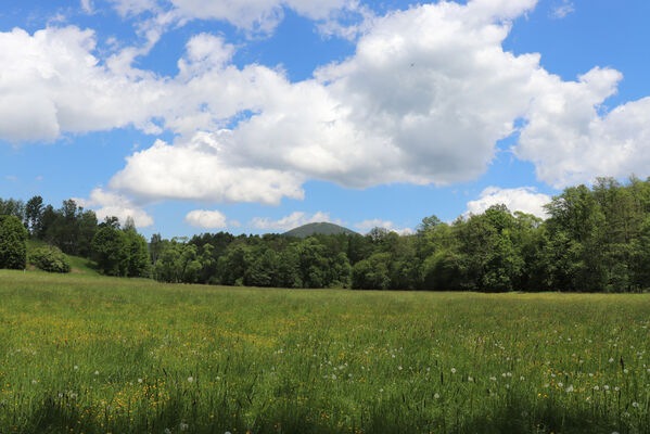 Bernartice, Křenov, 2.6.2022
Meandry Ličné. Pohled na Královecký Špičák.
Klíčová slova: Bernartice Křenov řeka Ličná Královecký Špičák