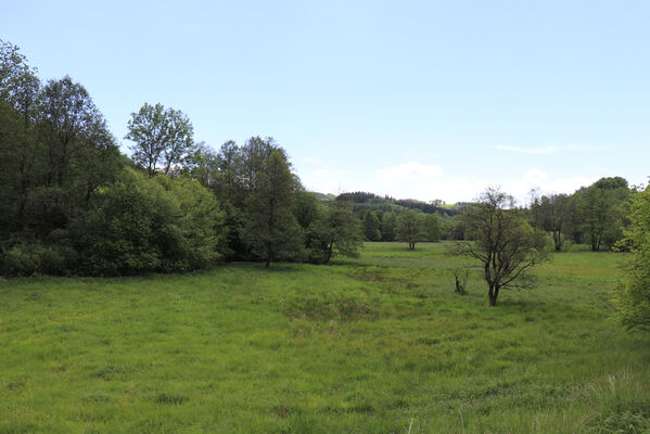 Bernartice, Křenov, 2.6.2022
Louky u meandrů Ličné u Bernartic.
Keywords: Bernartice Křenov řeka Ličná Aplotarsus angustulus