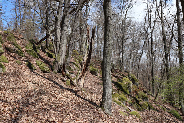 Krhanice, 16.4.2022
Grybla - Panská skála.
Klíčová slova: Krhanice Grybla