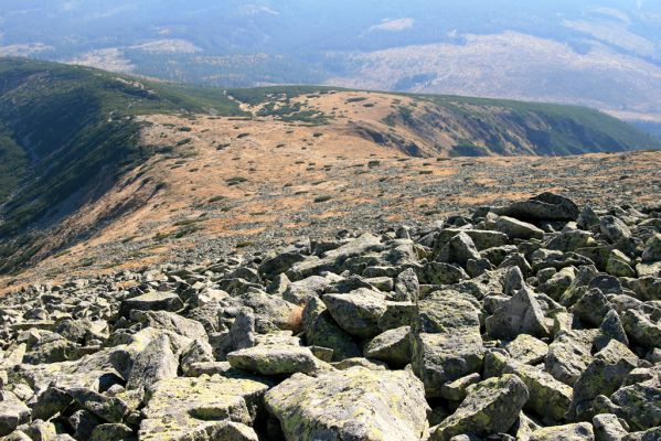 Kriváň, 22.10.2012
Pohled z Malého Kriváně na Predný Handel.
Klíčová slova: Vysoké Tatry Malý Kriváň Predný Handel Zorochros dermestoides Ctenicera cuprea