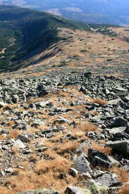 Kriváň, 22.10.2012
Pohled z Malého Kriváně na Predný Handel
Klíčová slova: Vysoké Tatry Malý Kriváň Predný Handel Važecká dolina Zorochros dermestoides Hypnoidus rivularius Ctenicera cuprea