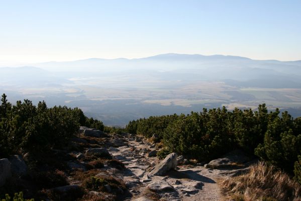 Vysoké Tatry, Kriváň, 22.10.2012
Predný Handel, Jamy - turistický chodník na Kriváň. V pozadí Kráľova hoľa.



Klíčová slova: Vysoké Tatry Kriváň Predný Handel Jamy Orithales serraticornis