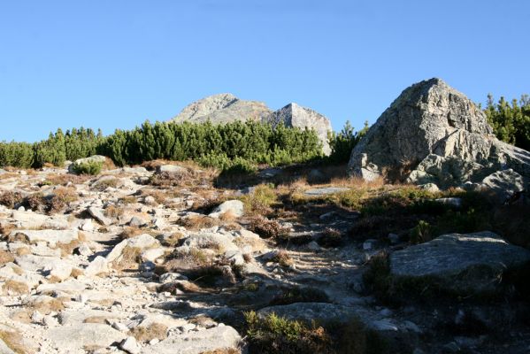 Vysoké Tatry, Kriváň, 22.10.2012
Predný Handel, Jamy - turistický chodník na Kriváň. Biotop kovaříka Orithales serraticornis.



Klíčová slova: Vysoké Tatry Kriváň Predný Handel Jamy Orithales serraticornis