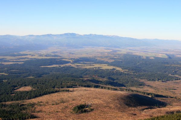 Vysoké Tatry, Kriváň, 22.10.2012
Pohled na Liptovskou kotlinu a Nízké Tatry (Ďumbier). V popředí dílo vichřice v kulturních porostech smrku.
Klíčová slova: Vysoké Tatry Kriváň Predný Handel Jamy Nízké Tatry