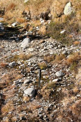 Kriváň, 22.10.2012
Starý nepoužívaný chodník z jižního sedla Kriváně ke Krivánskemu Zelenému plesu (cca 1900 m). Plochy s drobným štěrkem osídlili zástupci horské formy kovaříka Zorochros dermestoides.


Mots-clés: Vysoké Tatry Malý Kriváň Zorochros dermestoides