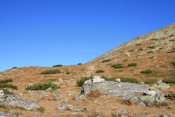 Vysoké Tatry, Kriváň, 22.10.2012
Predný Handel - sedlo pod Malým Kriváněm. Biotop kovaříka Ctenicera cuprea f. brevipectinata. 


Klíčová slova: Vysoké Tatry sedlo Malý Kriváň Predný Handel Ctenicera cuprea f. brevipectinata.