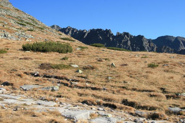 Vysoké Tatry, Kriváň, 22.10.2012
Predný Handel - sedlo pod Malým Kriváněm. Biotop kovaříka Ctenicera cuprea f. brevipectinata. 


Klíčová slova: Vysoké Tatry sedlo Malý Kriváň Predný Handel Ctenicera cuprea f. brevipectinata.