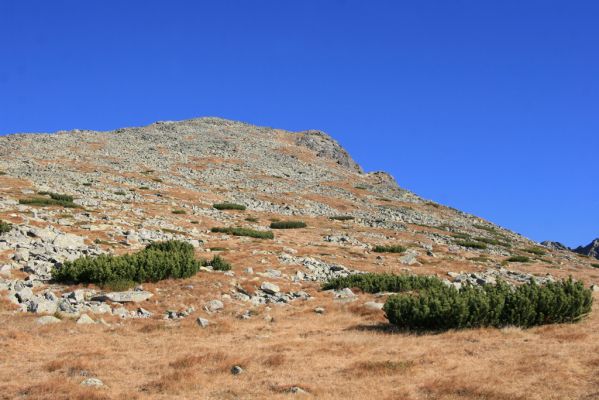 Vysoké Tatry, Kriváň, 22.10.2012
Predný Handel - sedlo pod Malým Kriváněm. Biotop kovaříka Ctenicera cuprea f. brevipectinata. 


Klíčová slova: Vysoké Tatry sedlo Malý Kriváň Predný Handel Ctenicera cuprea f. brevipectinata.