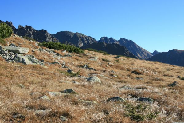 Vysoké Tatry, Kriváň, 22.10.2012
Predný Handel - sedlo pod Malým Kriváněm. Biotop kovaříka Ctenicera cuprea f. brevipectinata. 


Klíčová slova: Vysoké Tatry sedlo Malý Kriváň Predný Handel Ctenicera cuprea f. brevipectinata.