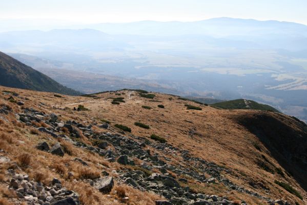 Vysoké Tatry, Kriváň, 22.10.2012
Predný Handel - sedlo pod Malým Kriváněm. Biotop kovaříka Ctenicera cuprea f. brevipectinata. 



Klíčová slova: Vysoké Tatry sedlo Malý Kriváň Predný Handel Ctenicera cuprea f. brevipectinata.