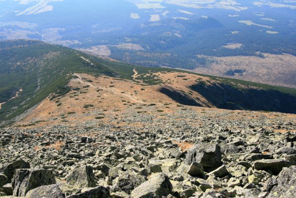 Vysoké Tatry, Kriváň, 22.10.2012
Malý Kriváň - pohled na Predný Handel.
Klíčová slova: Vysoké Tatry sedlo Malý Kriváň Predný Handel Hypnoidus rivularius