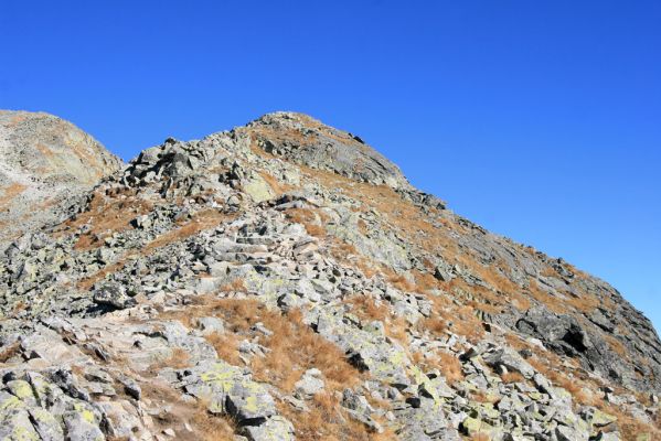 Vysoké Tatry, Kriváň, 22.10.2012
Malý Kriváň. Biotop kovaříka Selatosomus confluens rugosus.
Klíčová slova: Vysoké Tatry Malý Kriváň Selatosomus confluens rugosus